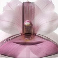 EUPHORIA EDT  100ml-227597 EUPHORIA EDT  100ml-227597 2